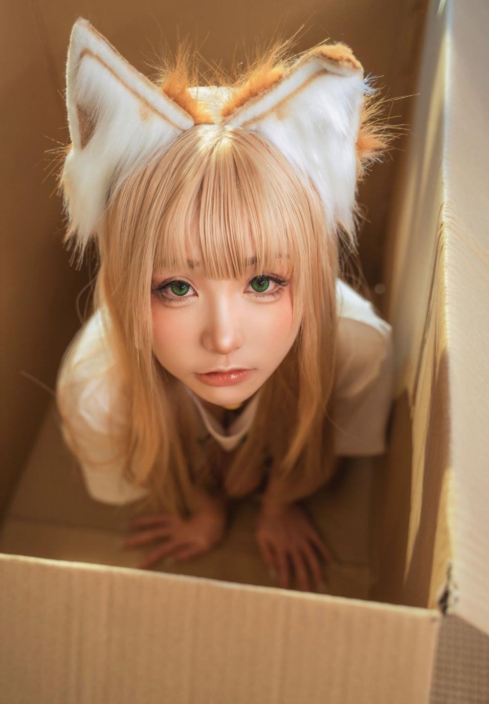 �������ٷ���վ