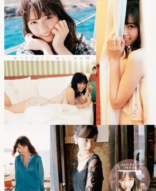 ������ƻ��������